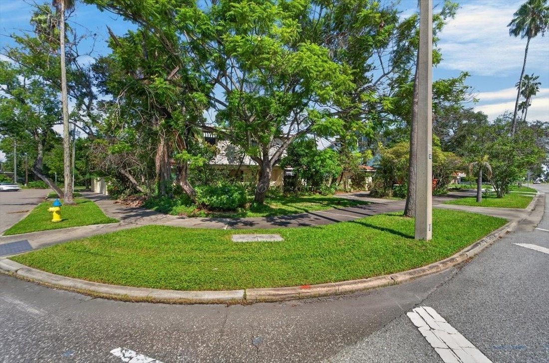 House in Tampa, Florida, United States 5 - 18988841