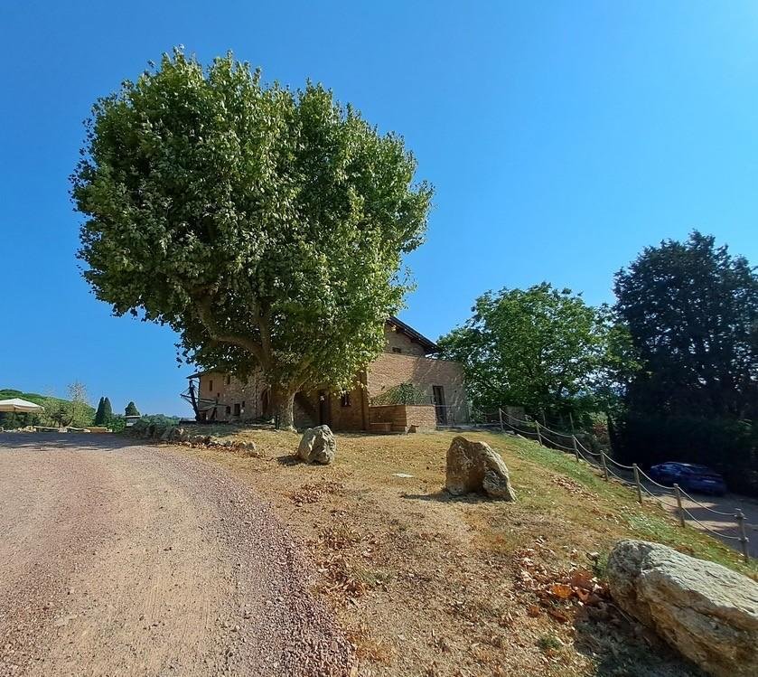 Country House in Fauglia, Tuscany, Italy 5 - 18988678