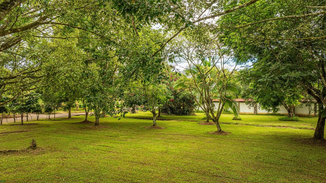 House in San Isidro de El General, San José Province, Costa Rica 1 - 18987166