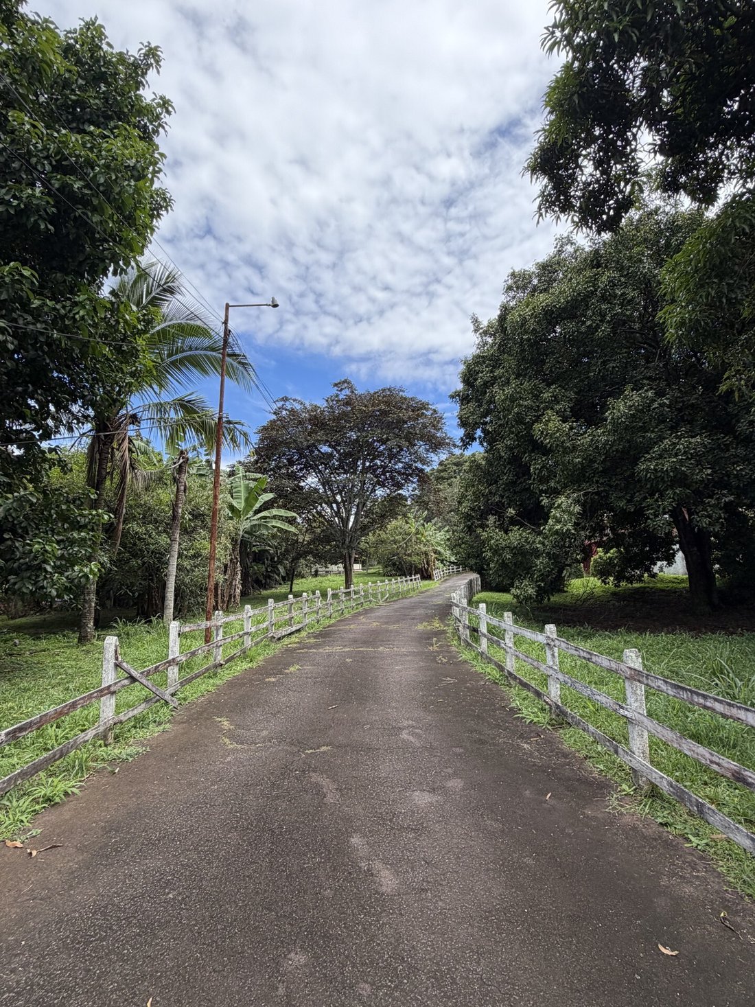 Farm Ranch in Garita District, Alajuela, Alajuela Province, Costa Rica 4 - 18988772