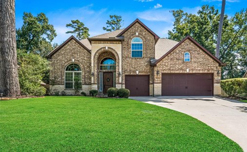 House in Conroe, Texas, United States 1