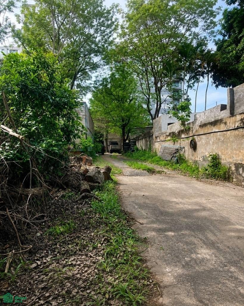 Land in Asunción, Los Lagos, Chile 4 - 18663022