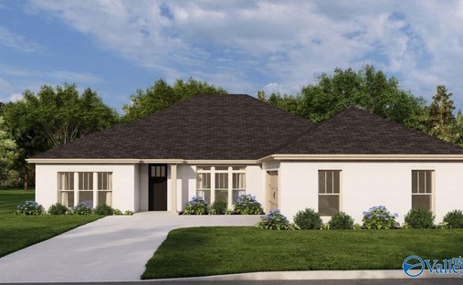 House in Athens, Alabama, United States 1