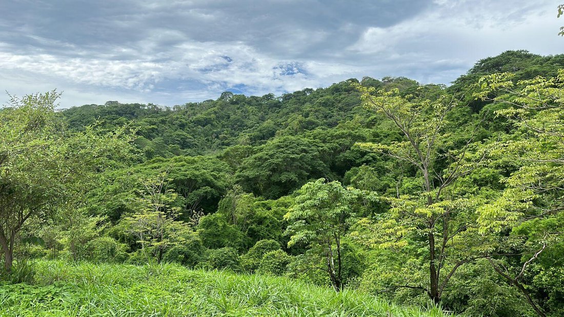 Land in Jicaral, Puntarenas Province, Costa Rica 4 - 17249953