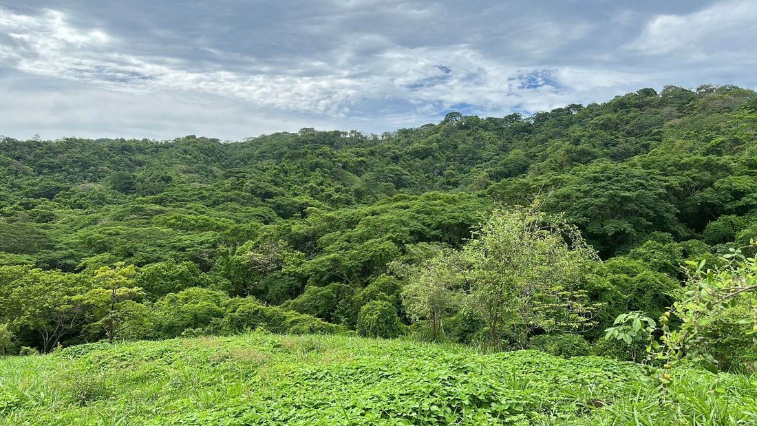 Land in Jicaral, Puntarenas Province, Costa Rica 2 - 17249953