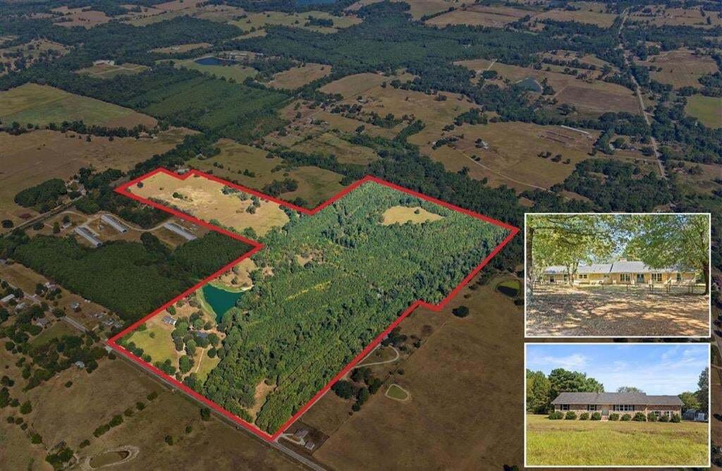 Farm Ranch in Pittsburg, Texas, United States 1 - 18988644