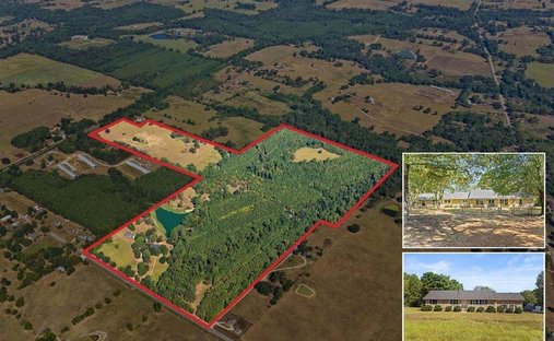 Farm Ranch in Pittsburg, Texas, Vereinigte Staaten 1
