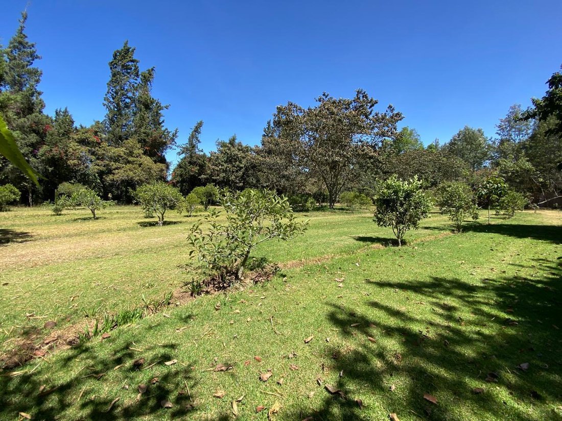 Land in Quito, Pichincha, Ecuador 4 - 18987446