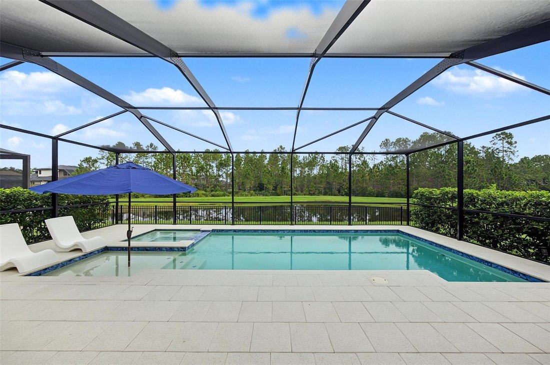 House in Land O' Lakes, Florida, United States 3 - 18988392