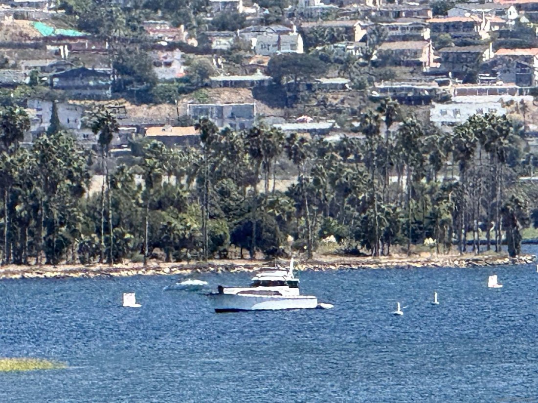 San Diego, California, United States 5 - 18988969