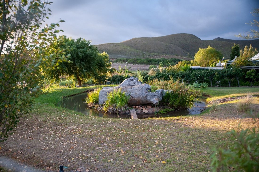 Farm Ranch in Robertson, Western Cape, South Africa 3 - 18987928