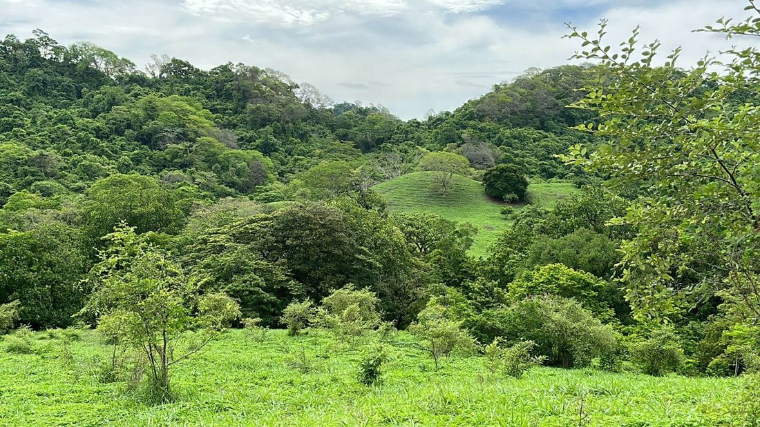 Land in Jicaral, Puntarenas Province, Costa Rica 5 - 17249953