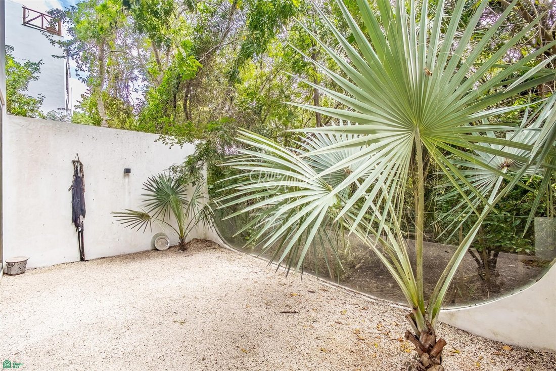 House in Puerto Morelos, Quintana Roo, Mexico 5 - 18542748