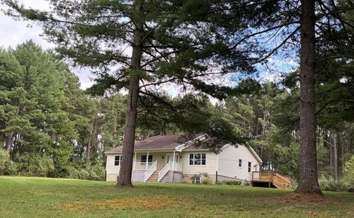 House in Millwood, Virginia, United States 1