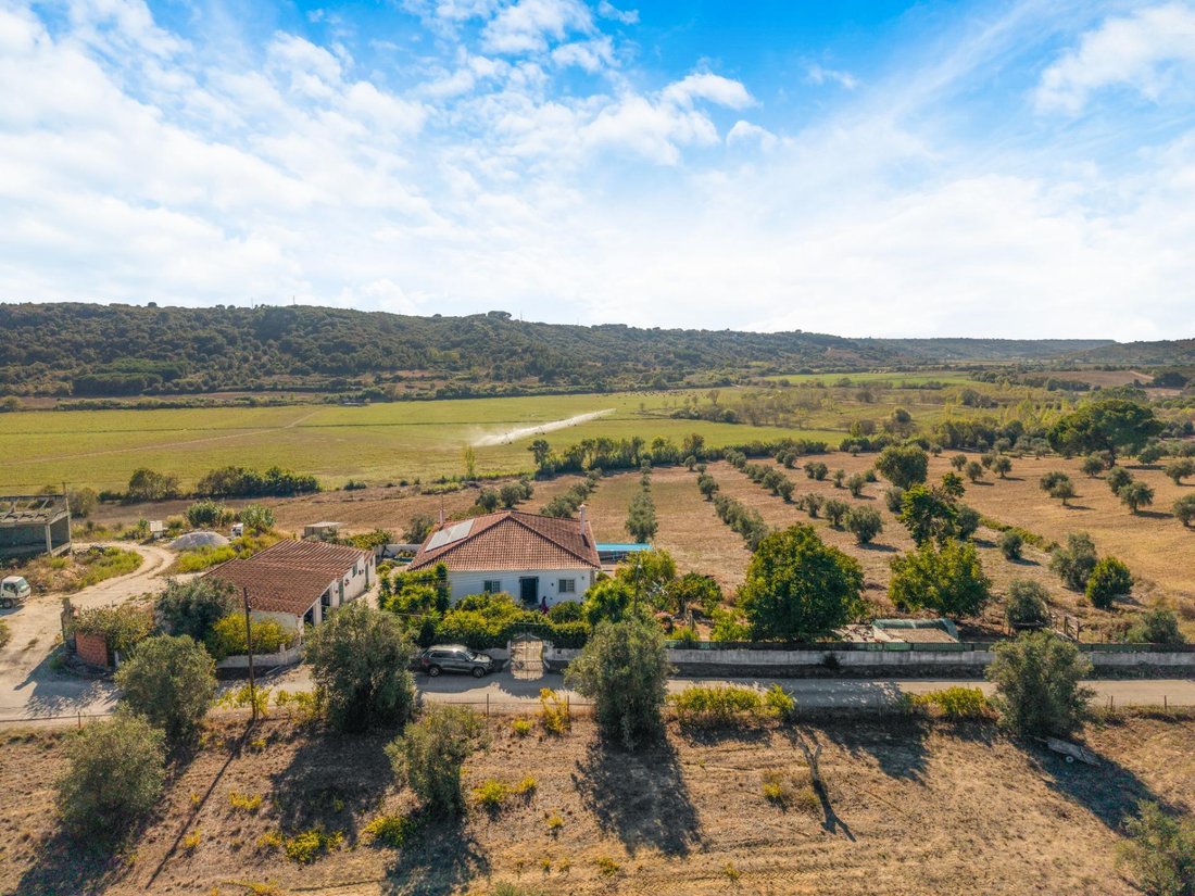 Country House in Mocarria, Santarem District, Portugal 4 - 18991068