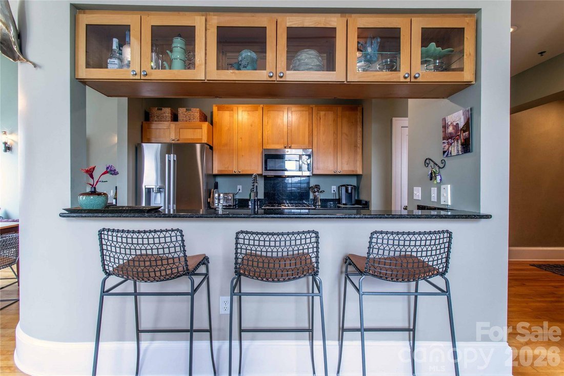 Apartment in Asheville, North Carolina, United States 4 - 18990819