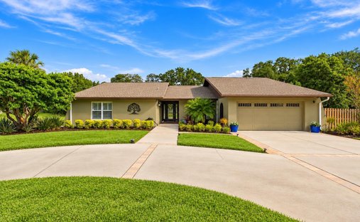 House in New Port Richey, Florida, United States 1
