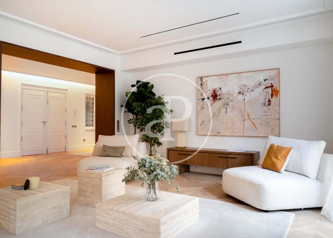 Apartment in Barrio Salamanca, Madrid, Spain 3 - 18991313