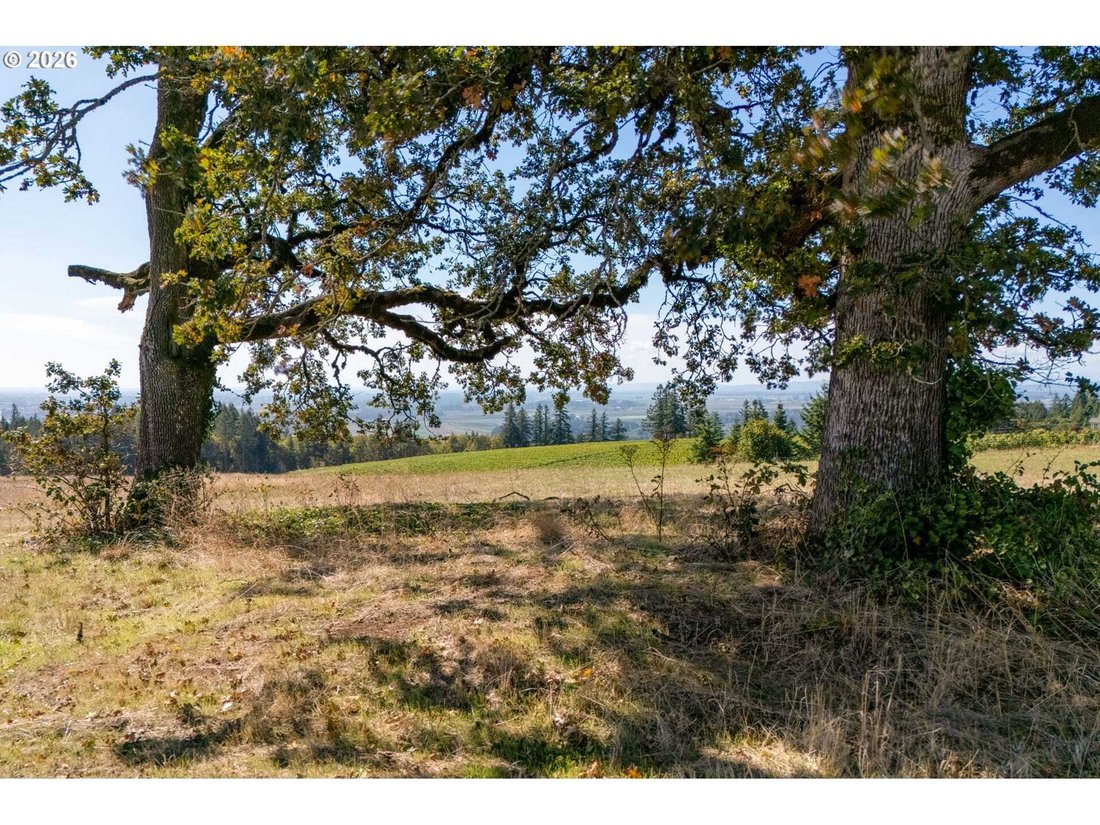 Land in Newberg, Oregon, United States 5 - 18991023
