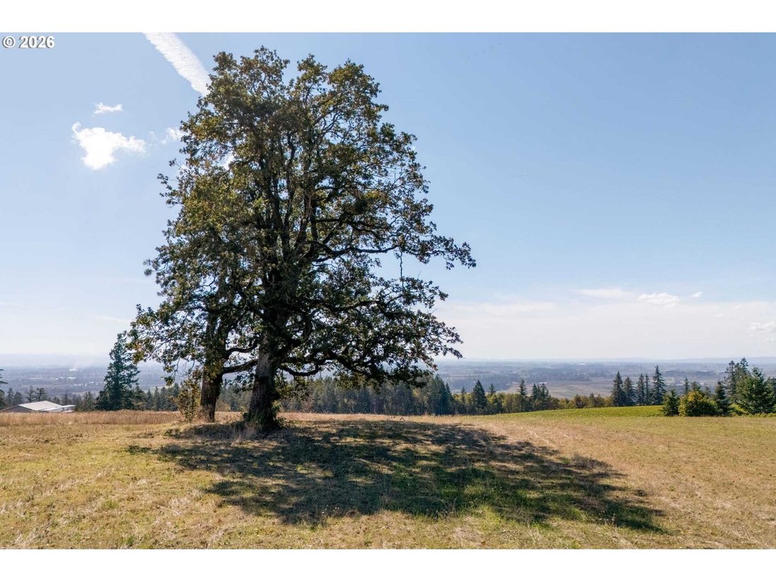 Land in Newberg, Oregon, United States 4 - 18991023