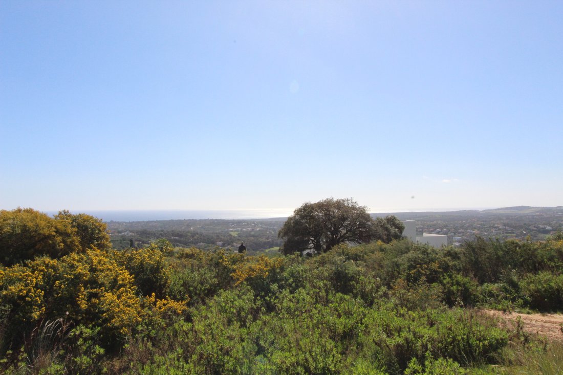 Land in Sotogrande, San Roque, Andalusia 3 - 18990836