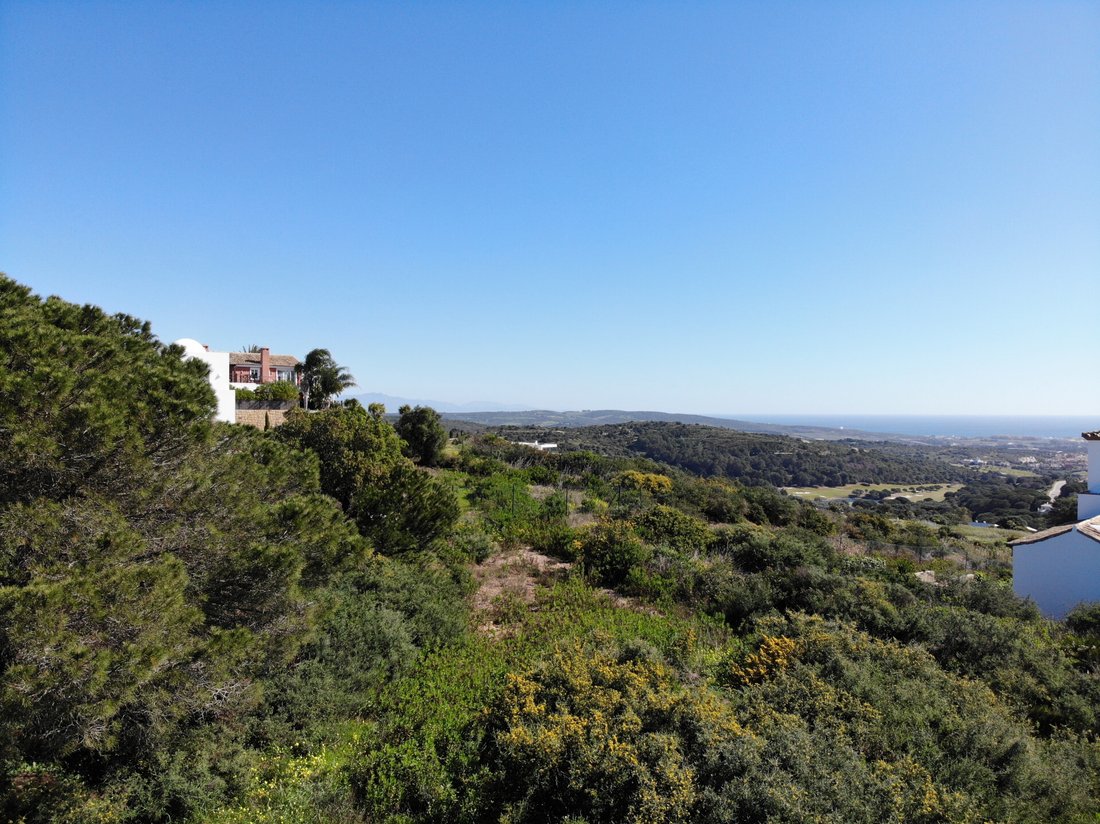 Villa in Sotogrande, San Roque, Andalusia 3 - 18990798
