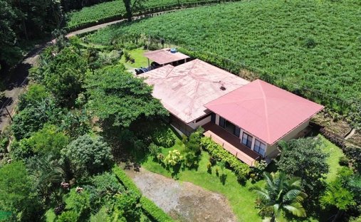House in Siquirres, Limón, Costa Rica 1