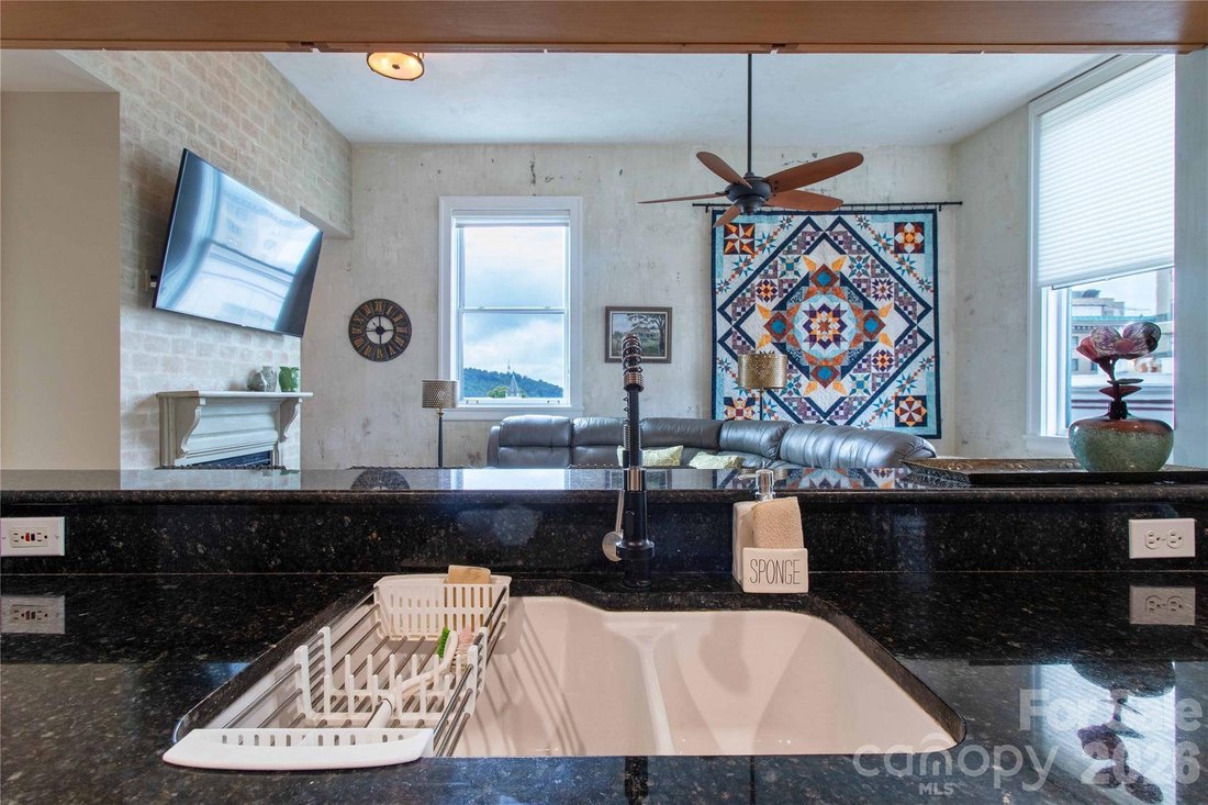 Apartment in Asheville, North Carolina, United States 5 - 18990819