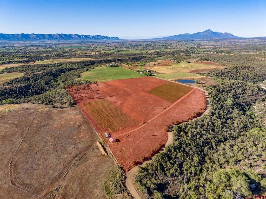 Farm Ranch in Dolores, Colorado, United States 2 - 18990924