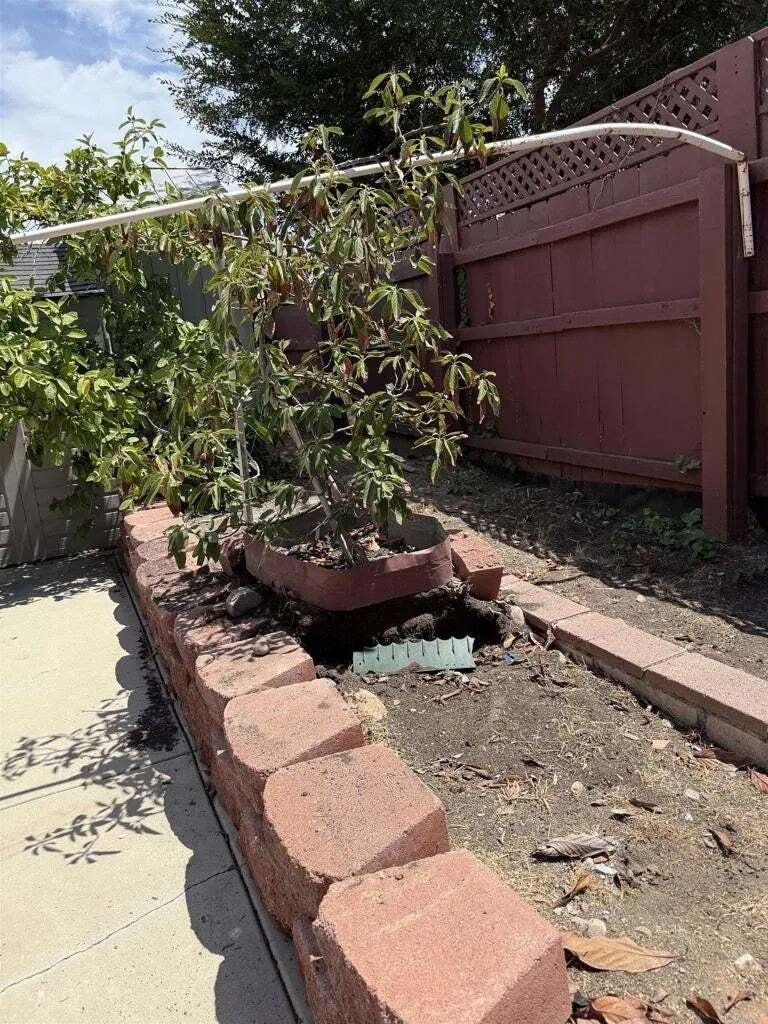 House in San Diego, California, United States 5 - 18990870
