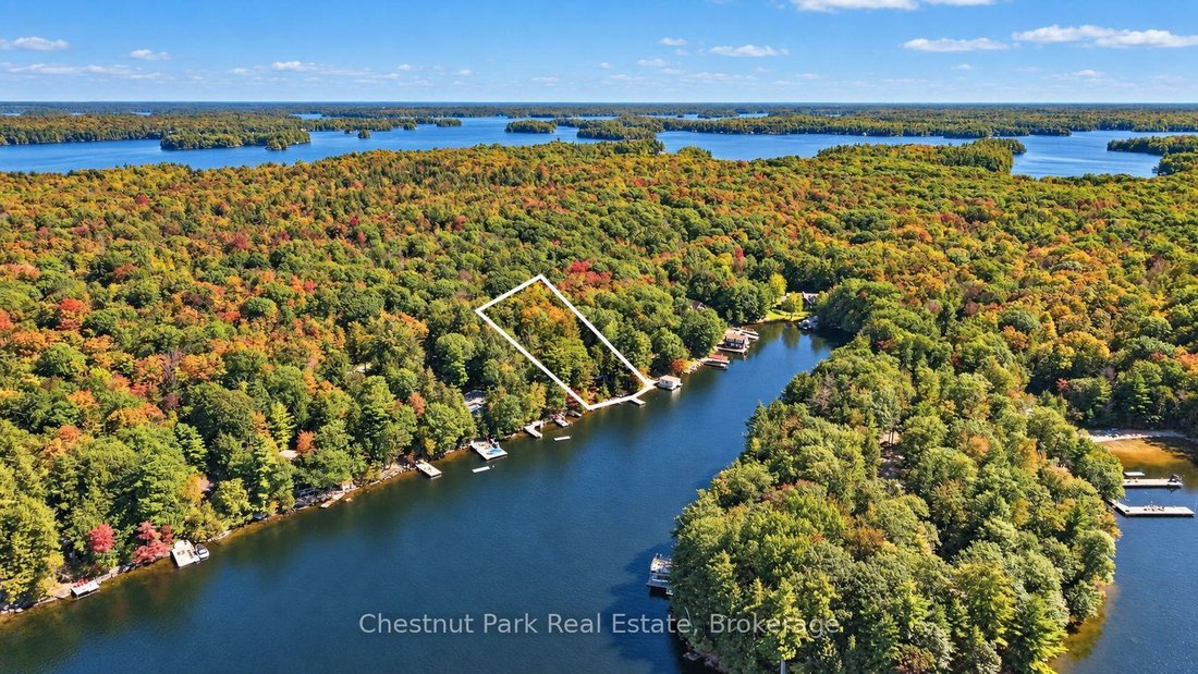 House in Muskoka Lakes, Ontario, Canada 3 - 18991812