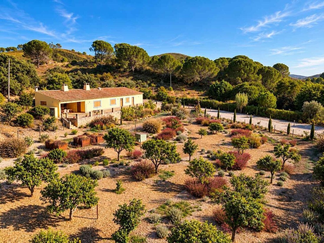 Farm Ranch in Mexilhoeira Grande, Algarve, Portugal 5 - 18434497