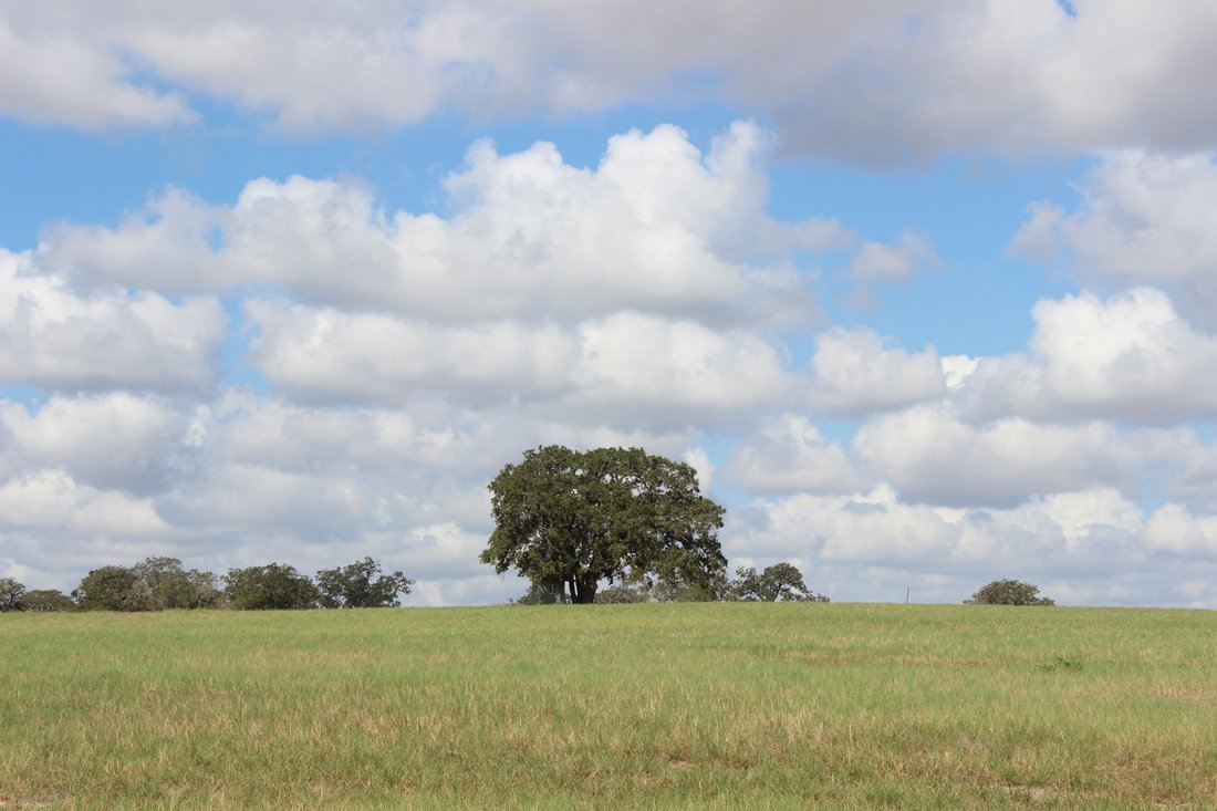 Farm Ranch in La Vernia, Texas, United States 2 - 18992264
