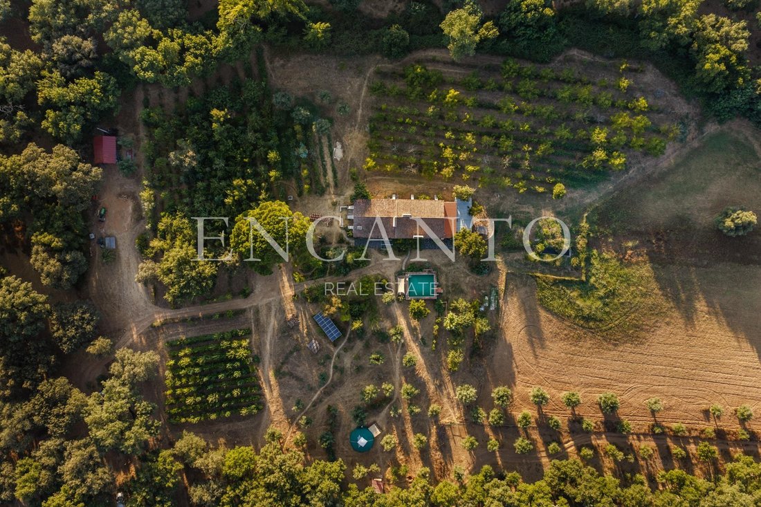 Finca in Arcos, Évora District, Portugal 3 - 18992058