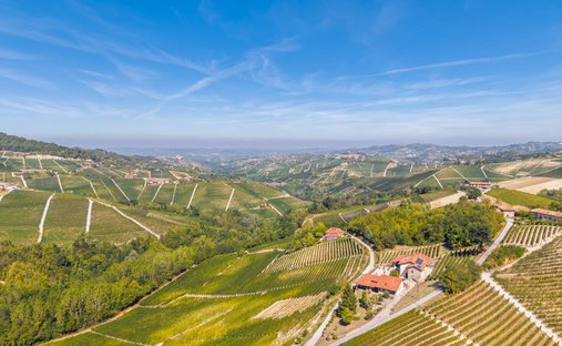 House in Monforte d'Alba, Piedmont, Italy 1