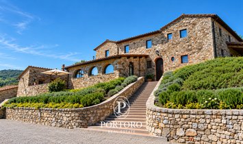 Estate in Castellina in Chianti, Tuscany, Italy 2