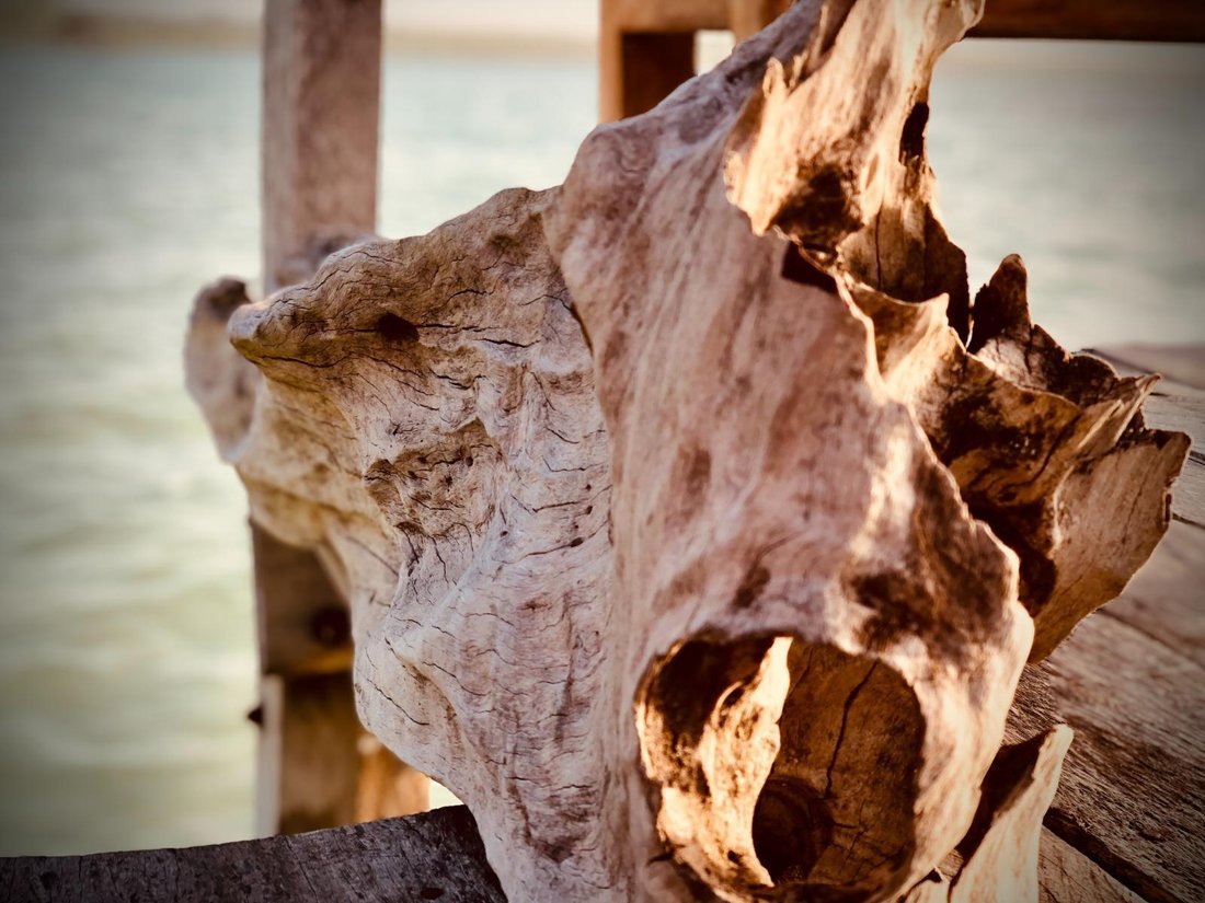 Land in Bacalar, Quintana Roo, Mexico 4 - 18992482
