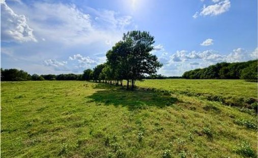 Terrain à Klondike, Texas, États-Unis 1