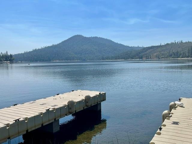 House in Bass Lake, California, United States 1 - 18994858