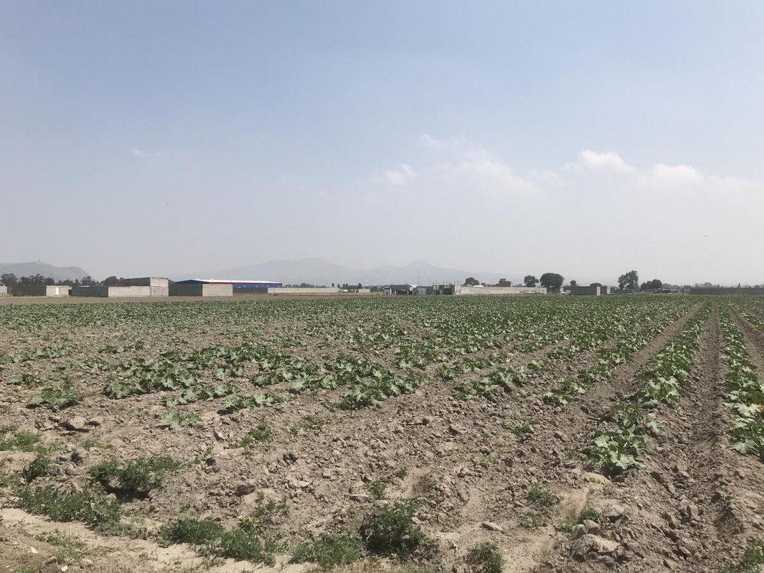 Land in Paraje Altamirano, State of Mexico, Mexico 4 - 18994378