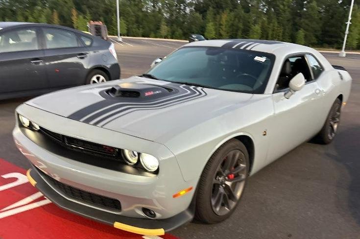 DODGE CHALLENGER in TUSCALOOSA, AL, United States 1 - 18995337