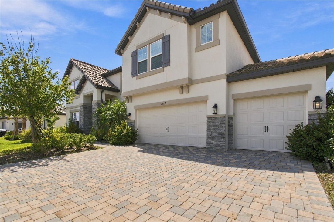 House in Wesley Chapel, Florida, United States 3 - 18995565
