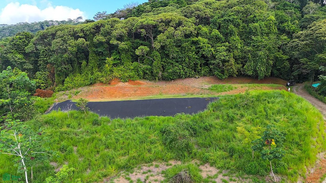 Land in Savegre de Aguirre, Puntarenas Province, Costa Rica 5 - 18584216