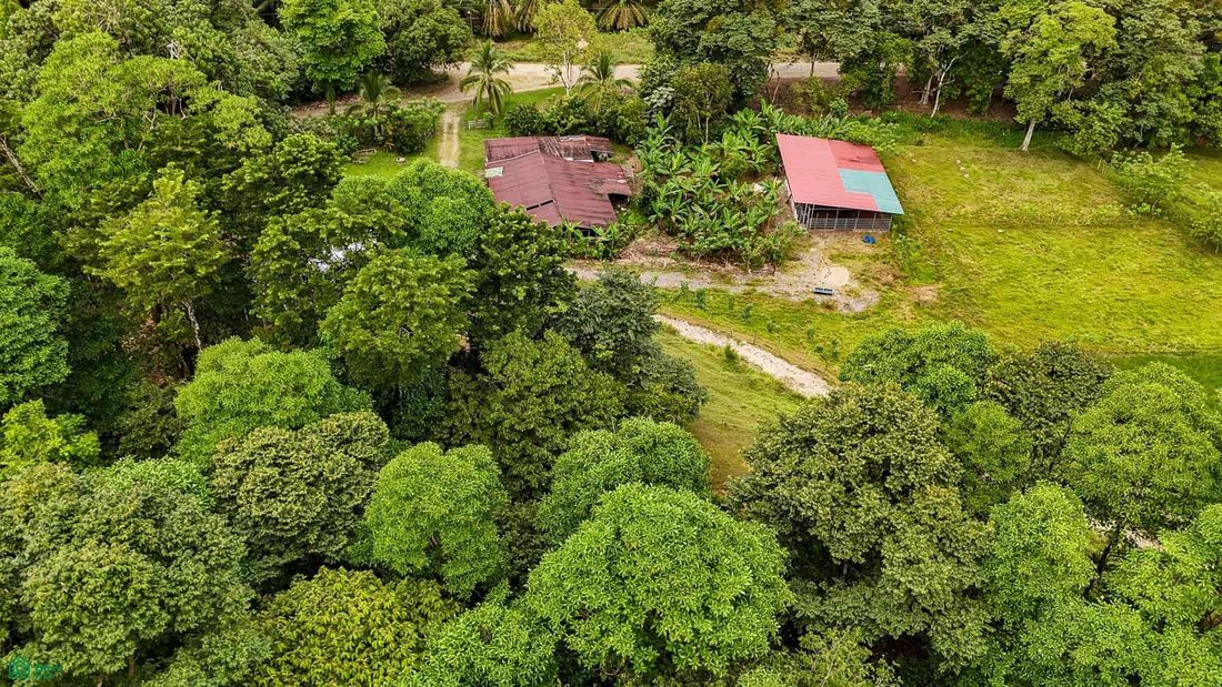 House in Venecia, Puntarenas Province, Costa Rica 2 - 18995384