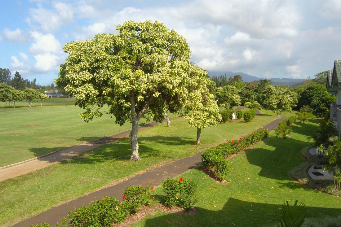 Condo in Princeville, Hawaii, United States 4 - 18994883