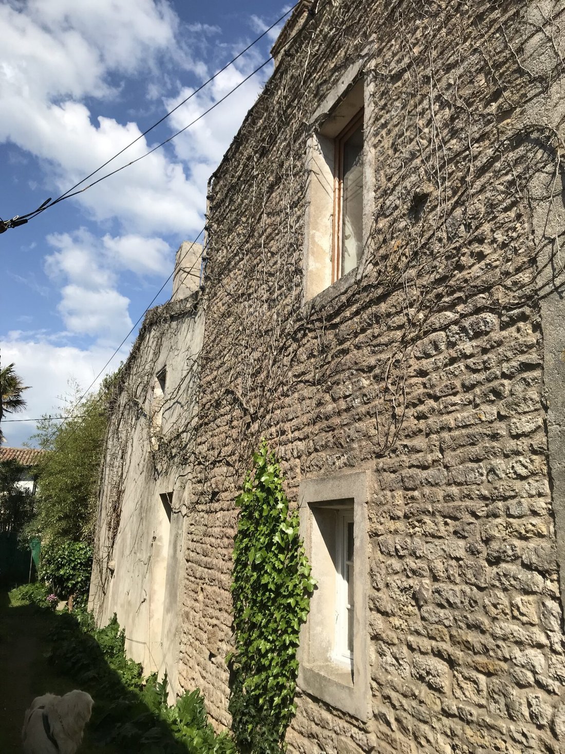 House in Saint-Clement-des-Baleines, Nouvelle-Aquitaine, France 4 - 17982962