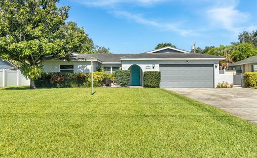 House in St. Petersburg, Florida, United States 1