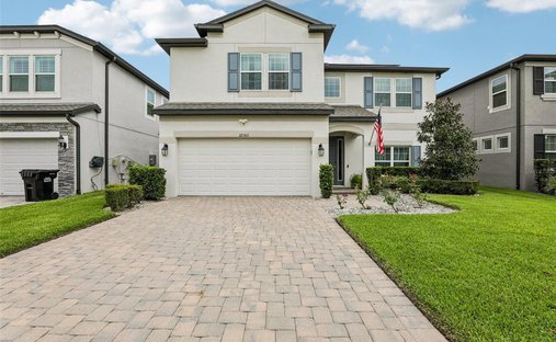 House in Land O' Lakes, Florida, United States 1