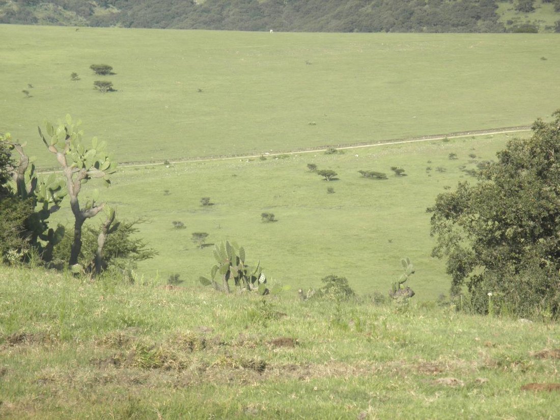 Land in Jilotepec de Molina Enríquez, State of Mexico, Mexico 1 - 18994380