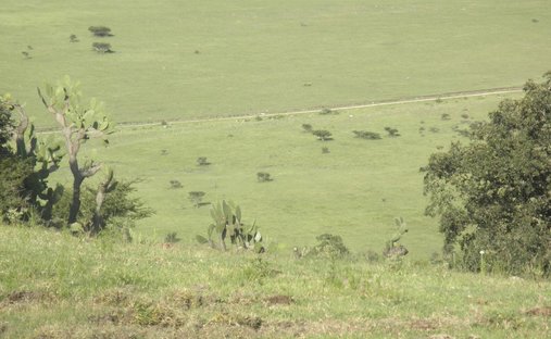 Land in Jilotepec de Molina Enríquez, State of Mexico, Mexico 1